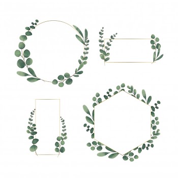 Watercolor floral frame set Free Vector