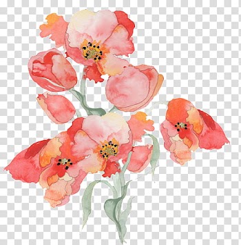 Watercolor Floral s, pink and beige petaled flowers illustration transparent background PNG clipart