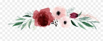 Watercolor Flower Border Transparent Pictures To Pin - Oriental Poppy