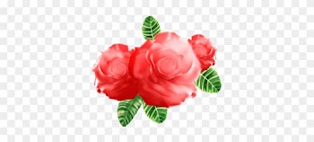 Watercolor Flower Vector, Art, Artistic, Background - Garden Roses