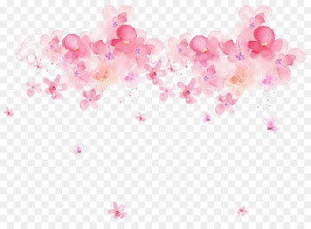 Watercolor: Flowers Floral design Watercolor painting Portable Network Graphics - dusky pink 