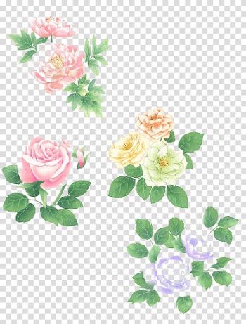 Watercolor flowers transparent background PNG clipart