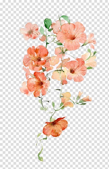 Watercolor flowers transparent background PNG clipart