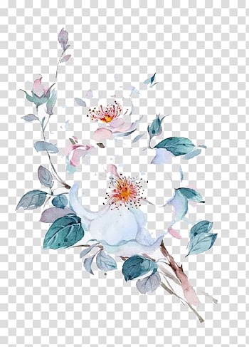 Watercolor flowers transparent background PNG clipart