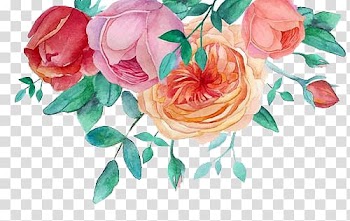 Watercolor flowers transparent background PNG clipart