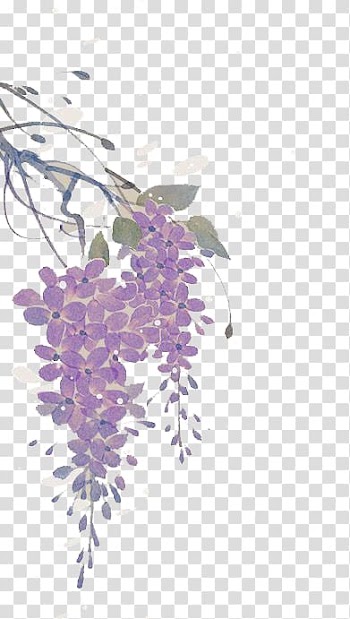 Watercolor flowers transparent background PNG clipart