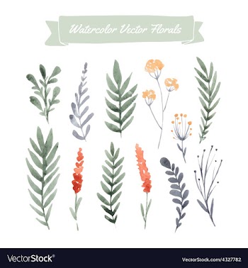  					Watercolor Flowers vector&nbsp;image														