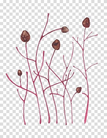 Watercolor: Flowers Watercolor painting Art Illustration, Grass transparent background PNG clipart