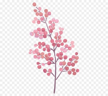Watercolor: Flowers Watercolor painting Canvas Image - watercolor plants 