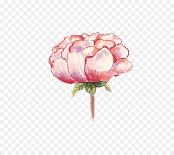 Watercolor: Flowers Watercolor painting Peony - Watercolor peony 