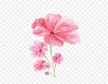 Watercolor: Flowers Watercolor painting Portable Network Graphics Image - delicate flower 