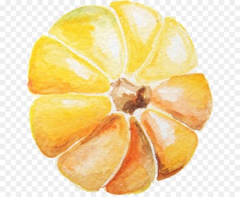 Watercolor: Flowers Watercolor painting Pumpkin - Watercolor pumpkin 