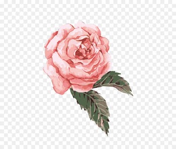 Watercolor: Flowers Watercolor painting Rose Portable Network Graphics Clip art - rose 