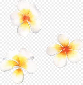 Watercolor: Flowers Watercolor painting - Vector hand painted egg flower 