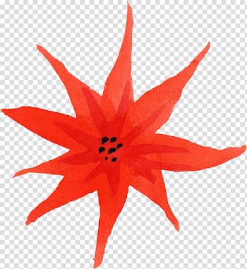 Watercolor: Flowers Watercolor painting , watercolor flower transparent background PNG clipart