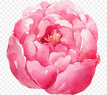 Watercolor: Flowers Watercolor painting - Watercolor Flowers 
