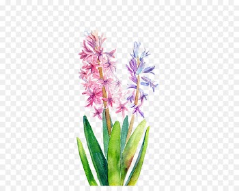 Watercolor: Flowers Watercolor painting - Watercolor flowers 