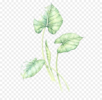 Watercolor green leaves 