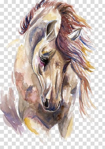 Watercolor horse transparent background PNG clipart