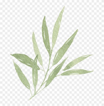 Watercolor Leaf Branch 01 - Watercolor Leaves Png Transparent