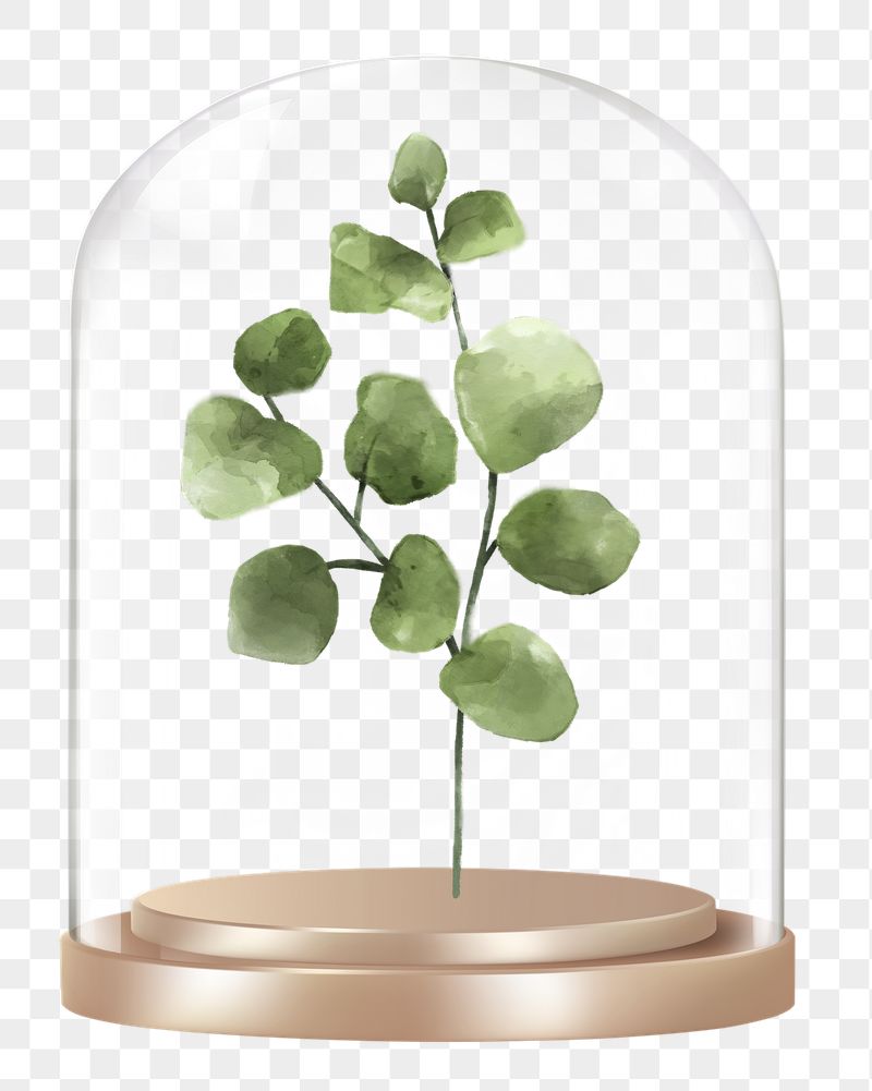 Watercolor leaf png branch glass | Free PNG - rawpixel
