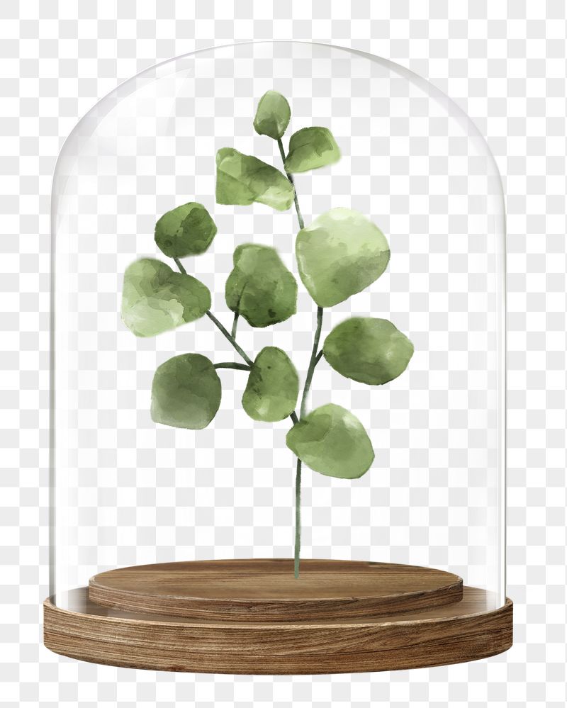 Watercolor leaf png branch glass | Free PNG - rawpixel
