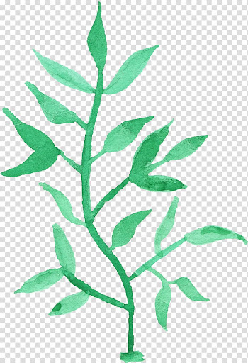 Watercolor Leaf Watercolor painting, leaves watercolor transparent background PNG clipart