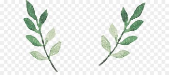 Watercolor leaves Vector 