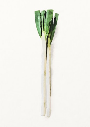 Watercolor leek illustration, vegetable drawing | Free Photo Illustration - rawpixel