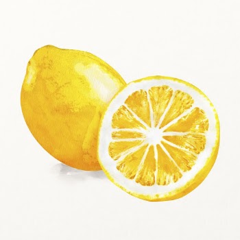 Watercolor lemon illustration, fruit drawing | Free Photo Illustration - rawpixel