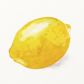 Watercolor lemon illustration, fruit drawing | Free Photo Illustration - rawpixel