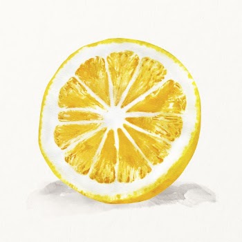 Watercolor lemon illustration, fruit drawing | Free Photo Illustration - rawpixel