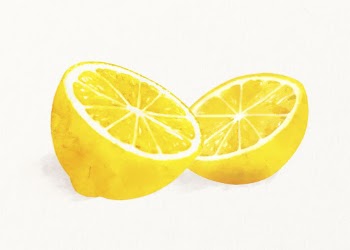 Watercolor lemon illustration, fruit drawing | Free Photo Illustration - rawpixel