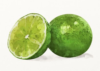 Watercolor lime illustration, fruit drawing | Free Photo Illustration - rawpixel