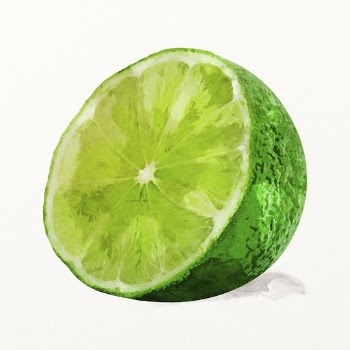 Watercolor lime illustration, fruit drawing | Free Photo Illustration - rawpixel