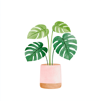 Watercolor Monstera Plant in Pink Pot