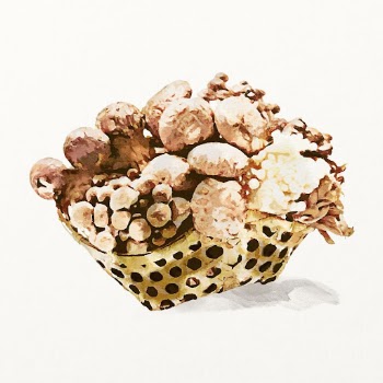 Watercolor mushroom illustration, vegetable drawing | Free Photo Illustration - rawpixel