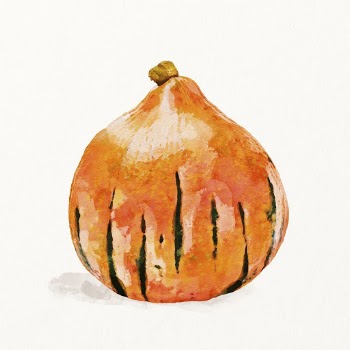 Watercolor onion illustration, vegetable drawing | Free Photo Illustration - rawpixel