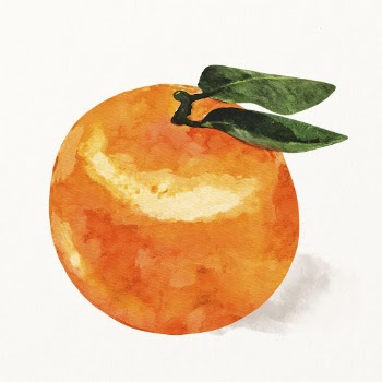 Watercolor orange illustration, fruit drawing | Free Photo Illustration - rawpixel