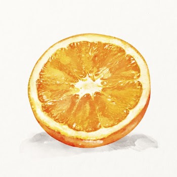 Watercolor orange illustration, fruit drawing | Free Photo Illustration - rawpixel