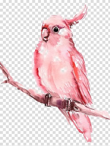 Watercolor painting AllPosters.com Illustration, parrot transparent background PNG clipart