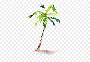 Watercolor painting Arecaceae Drawing - coconut tree 