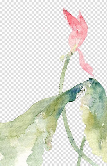 Watercolor painting Art Creative work Illustration, Lotus transparent background PNG clipart