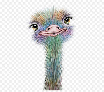Watercolor painting Art Drawing Common ostrich - ostrich 