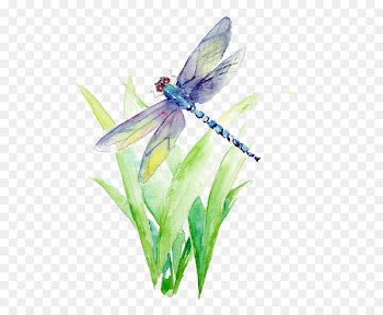 Watercolor painting Art Drawing La Biancheria - Watercolor Dragonfly 