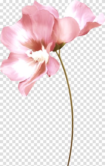 Watercolor painting Art Drawing , painting transparent background PNG clipart
