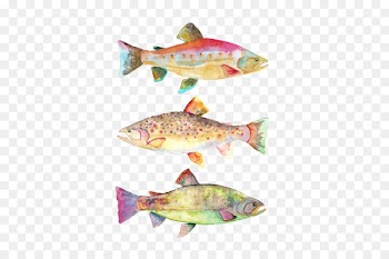 Watercolor painting Art Koi Fish - painting 
