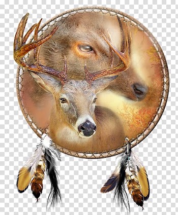 Watercolor painting Art Oil paint, dream catcher boho transparent background PNG clipart