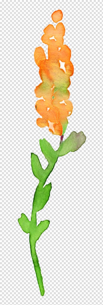 Watercolor painting Autumn Flower Floral design , WATERCOLOR LEAF transparent background PNG clipart