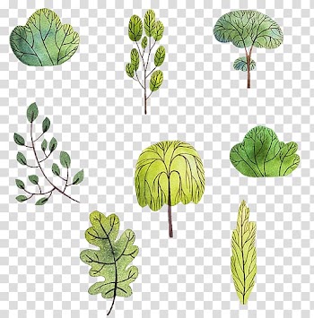 Watercolor painting Autumn Illustration, Autumn watercolor trees transparent background PNG clipart